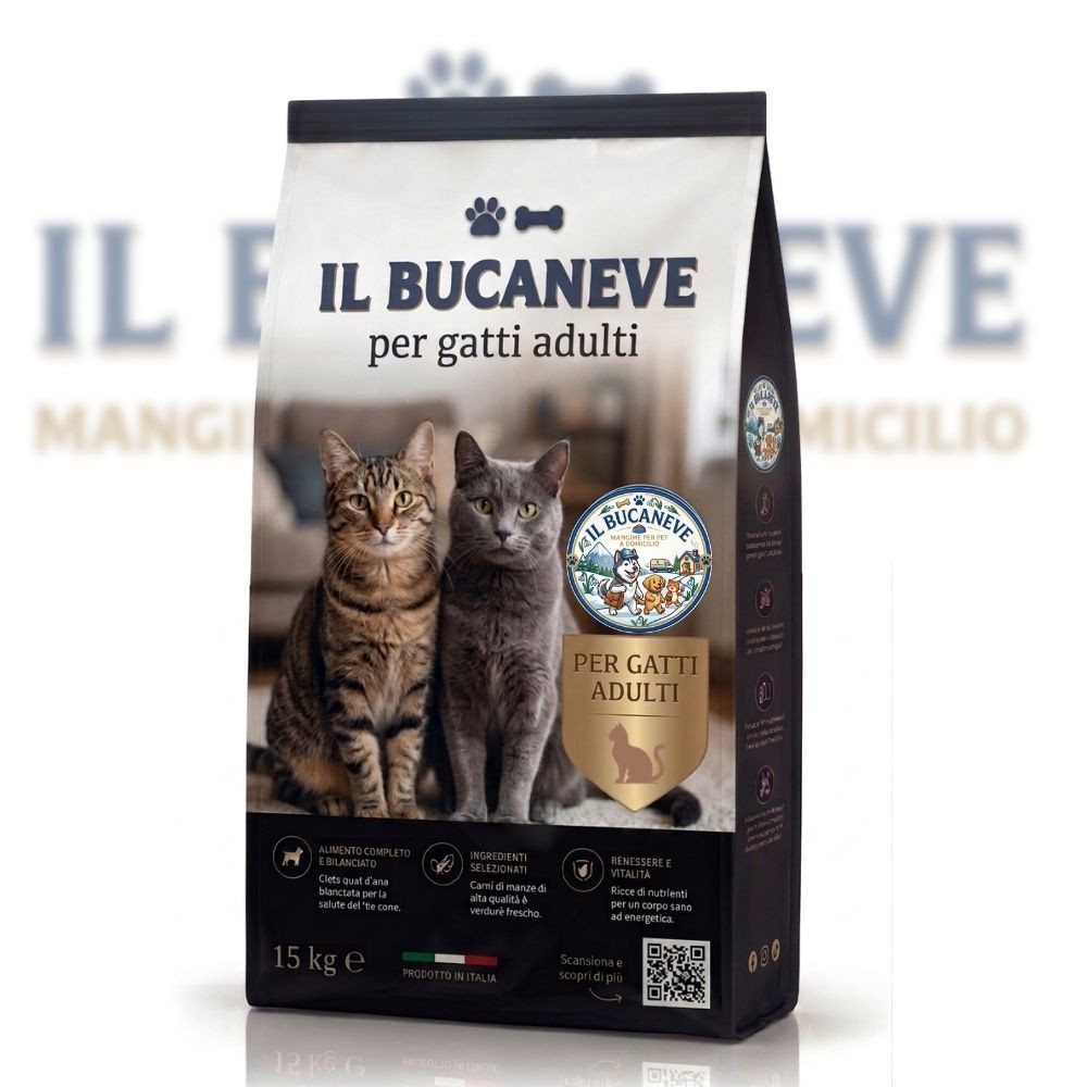 B-cat: adult 15 kg